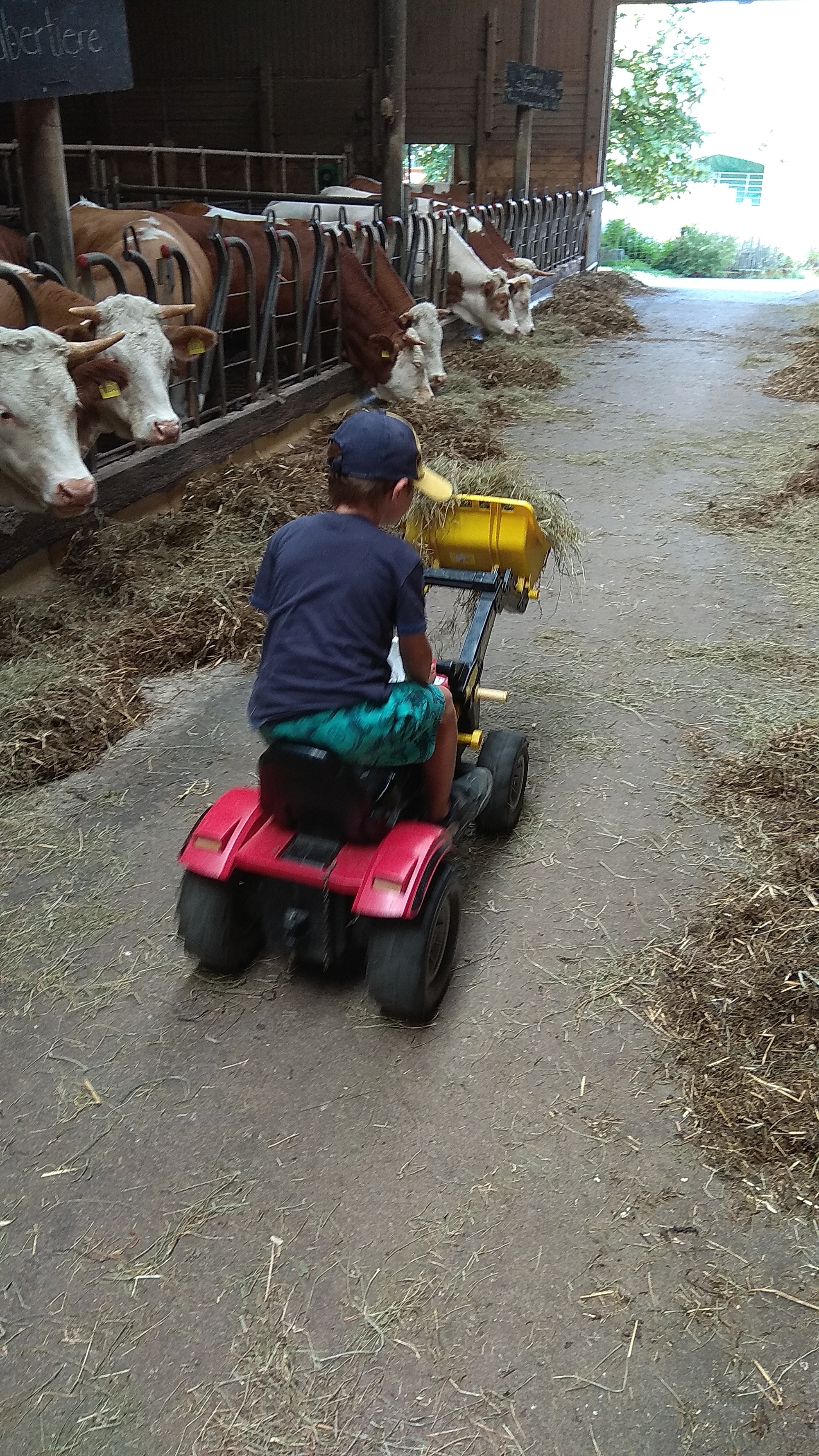 Bauernhofbesuch mit den Vorschulkindern