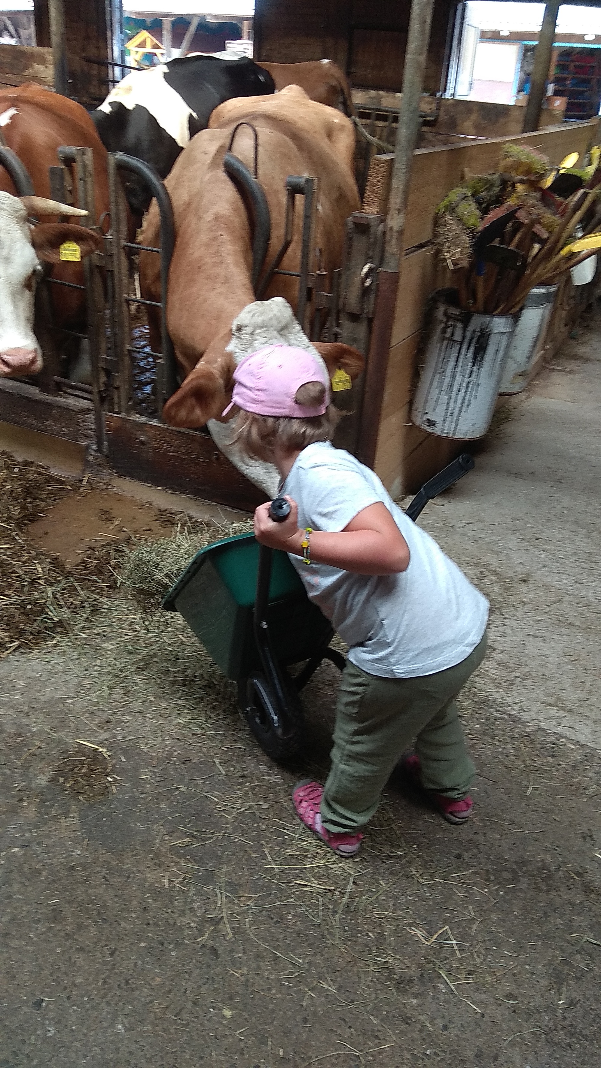 Bauernhofbesuch mit den Vorschulkindern