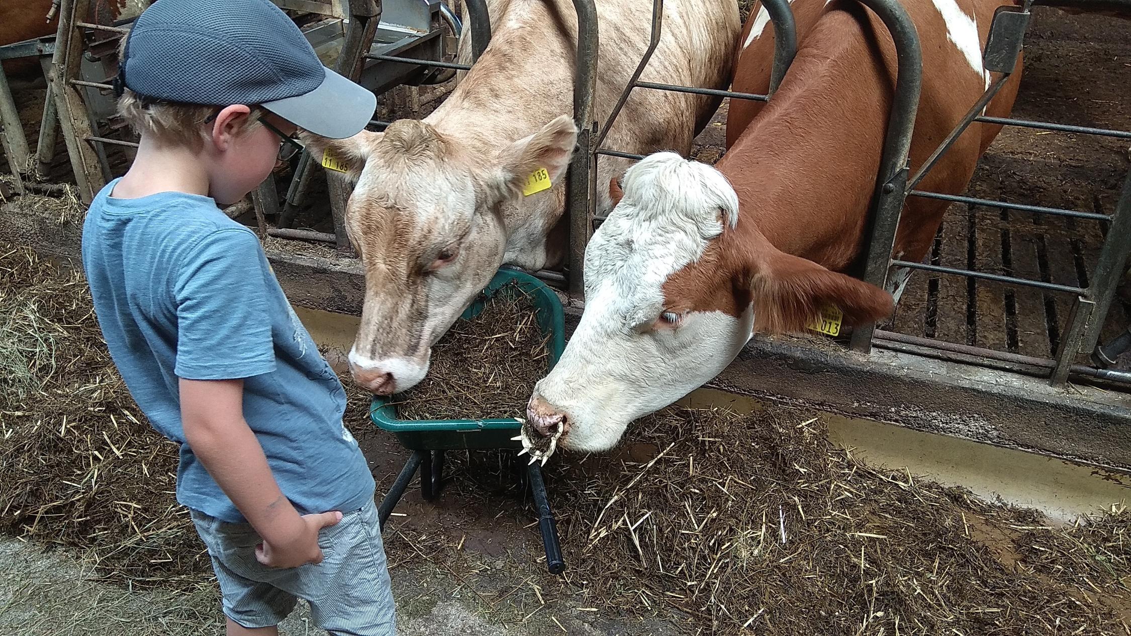 Bauernhofbesuch mit den Vorschulkindern