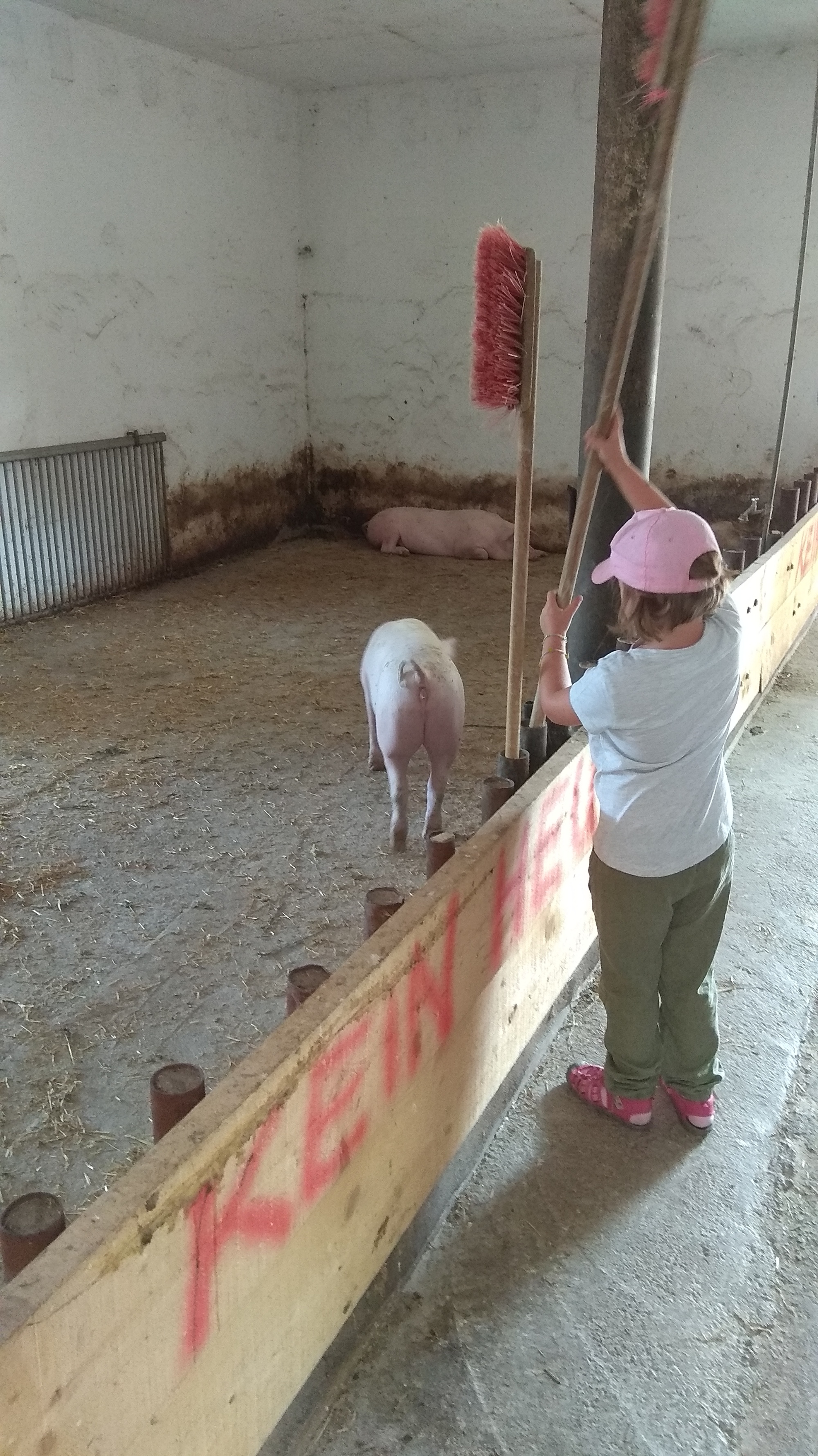 Bauernhofbesuch mit den Vorschulkindern