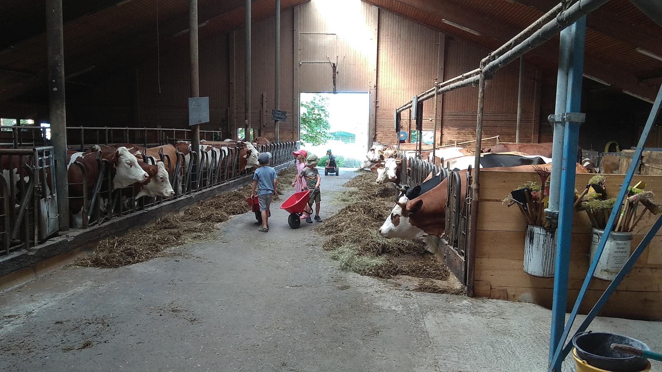 Bauernhofbesuch mit den Vorschulkindern