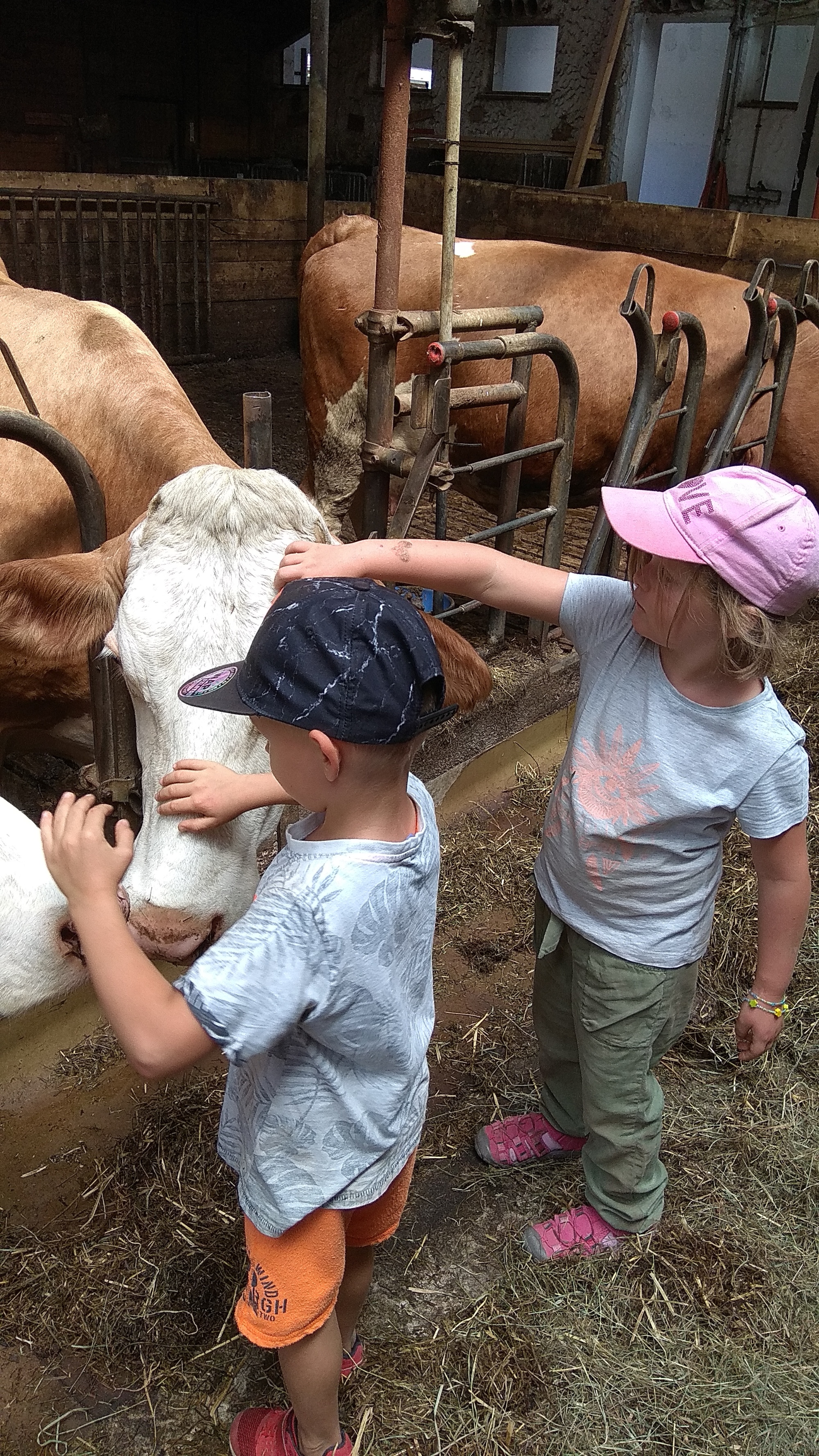 Bauernhofbesuch mit den Vorschulkindern