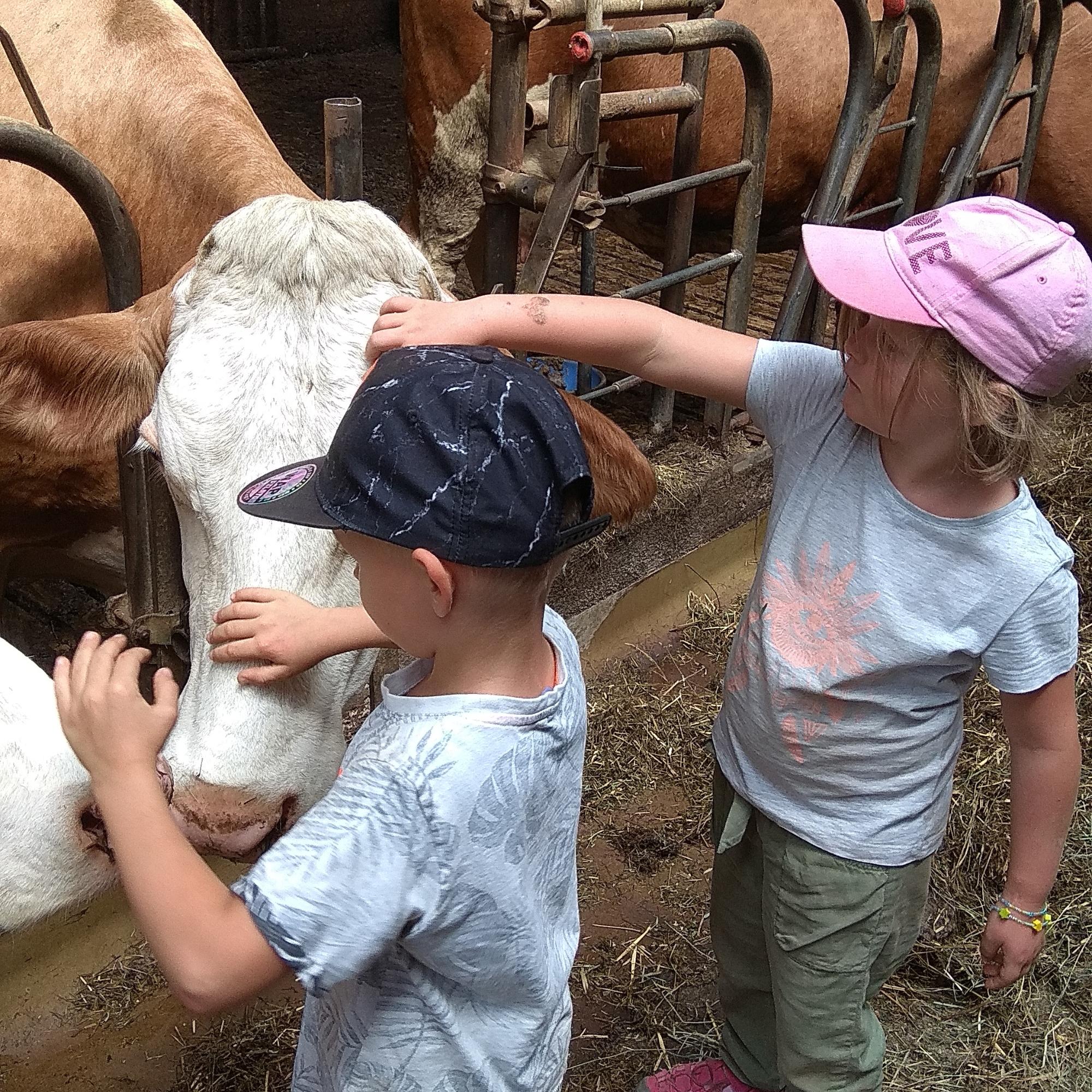 Bauernhofbesuch mit den Vorschulkindern