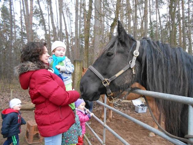 Besuch bei den Hühnern