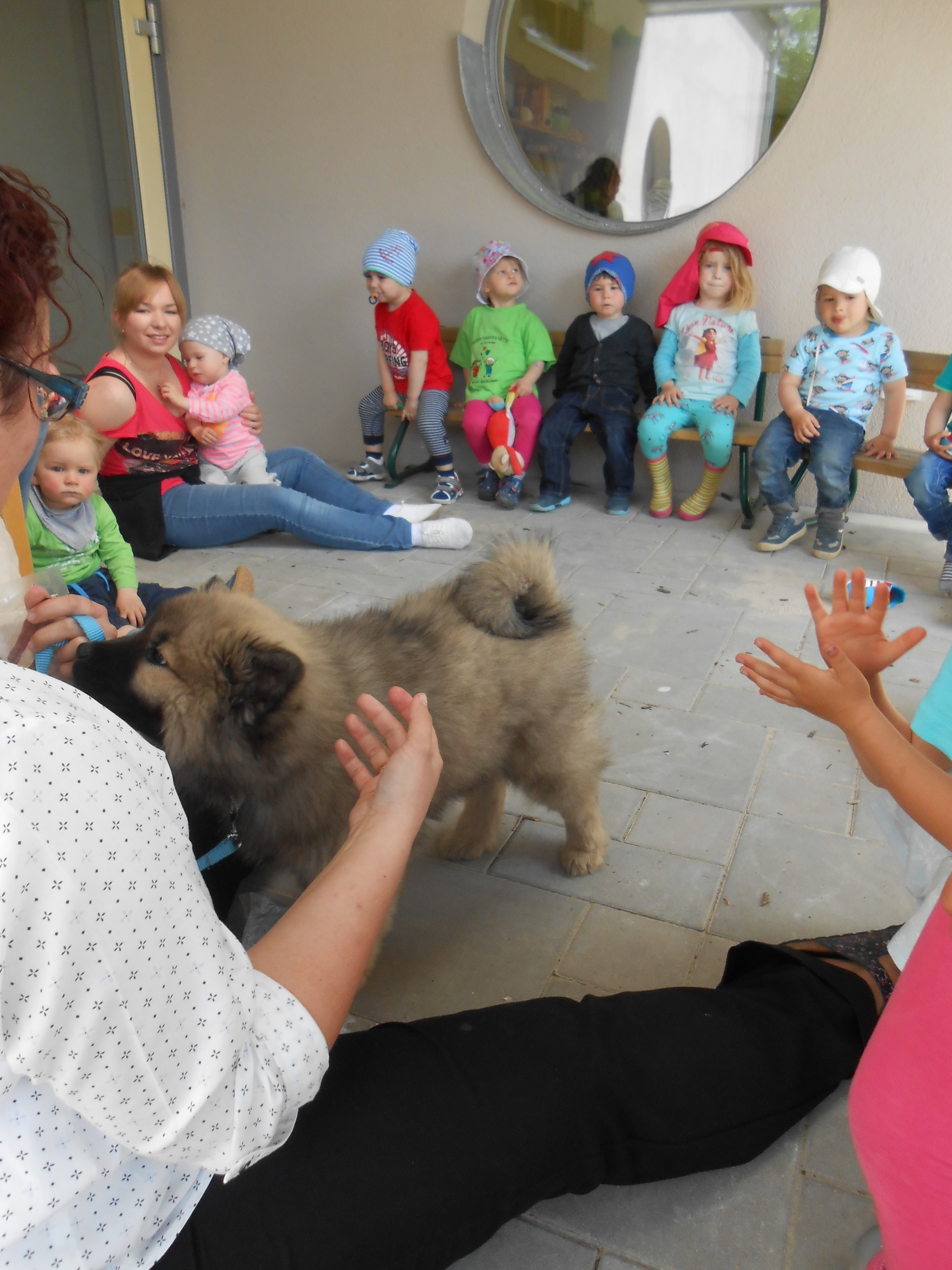 Tiere in der Kita